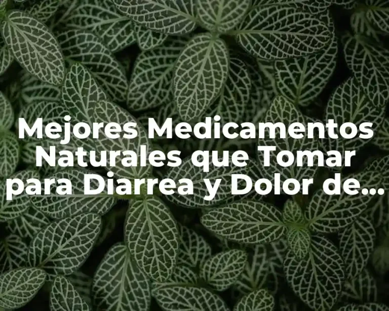 Mejores Medicamentos Naturales que Tomar para Diarrea y Dolor de Estómago