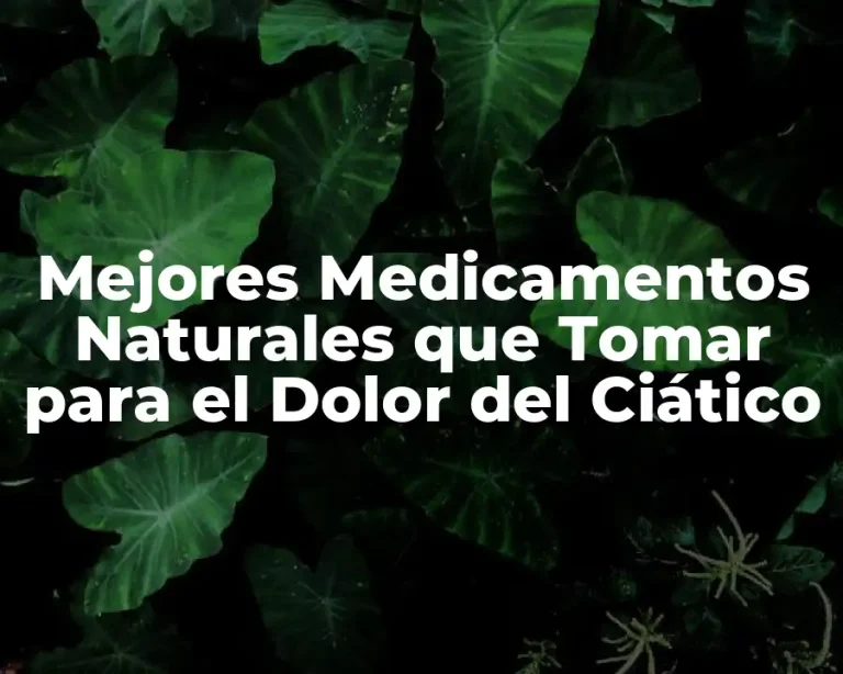 Mejores Medicamentos Naturales que Tomar para el Dolor del Ciático