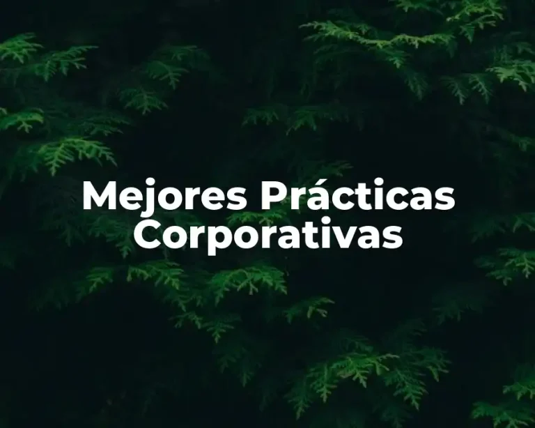 Mejores Prácticas Corporativas