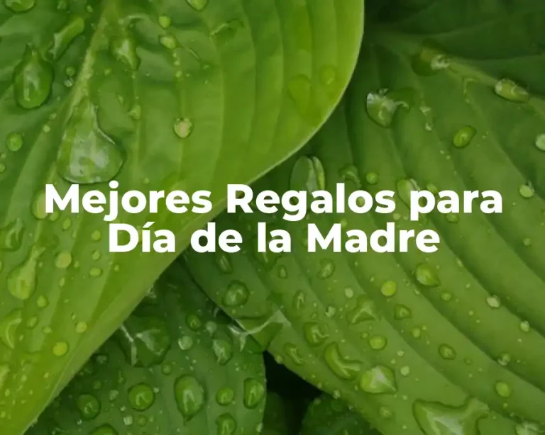 Mejores Regalos para Día de la Madre