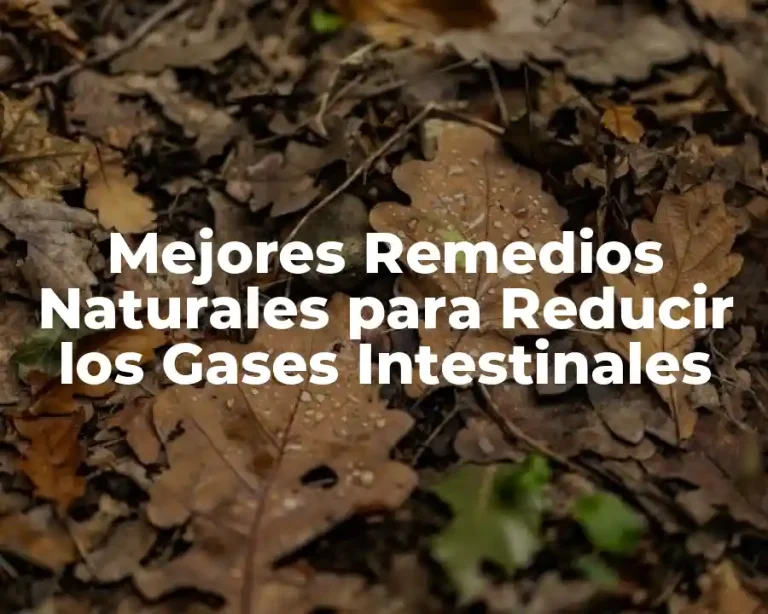 Mejores Remedios Naturales para Reducir los Gases Intestinales