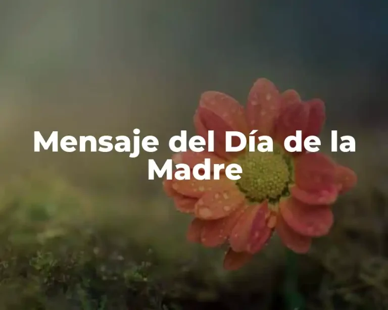 Mensaje del Día de la Madre