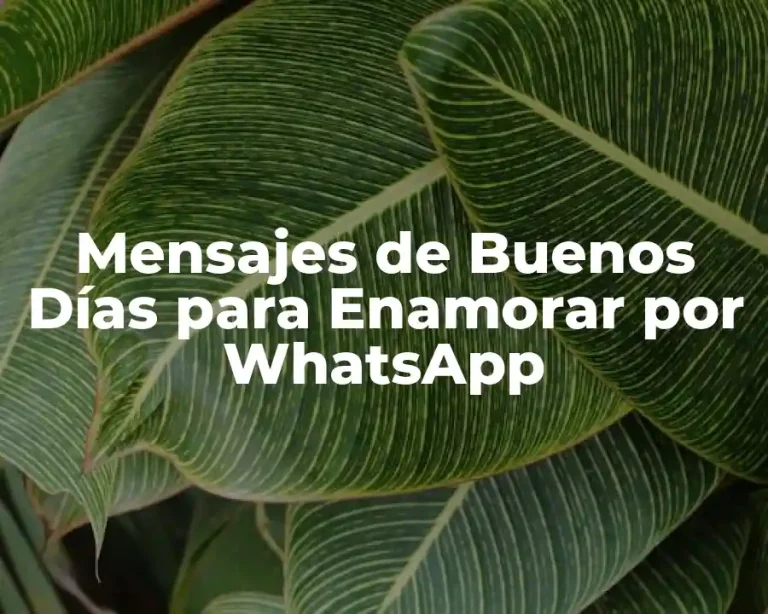 Mensajes de Buenos Días para Enamorar por WhatsApp
