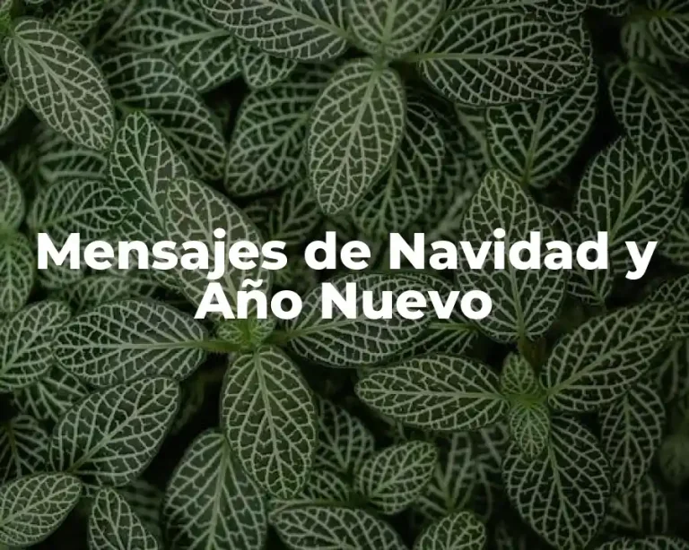 Mensajes de Navidad y Año Nuevo