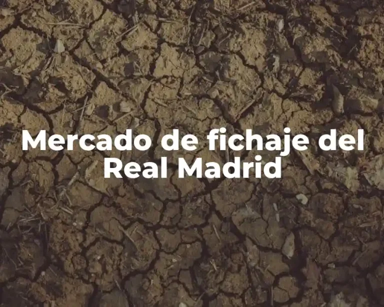 Mercado de fichaje del Real Madrid