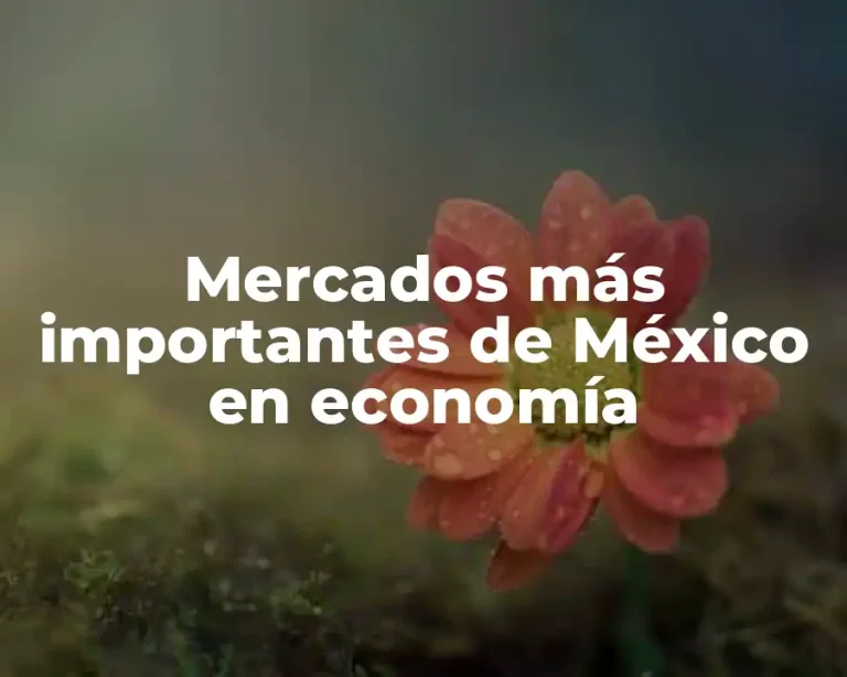 Mercados más importantes de México en economía