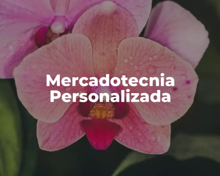 Mercadotecnia Personalizada