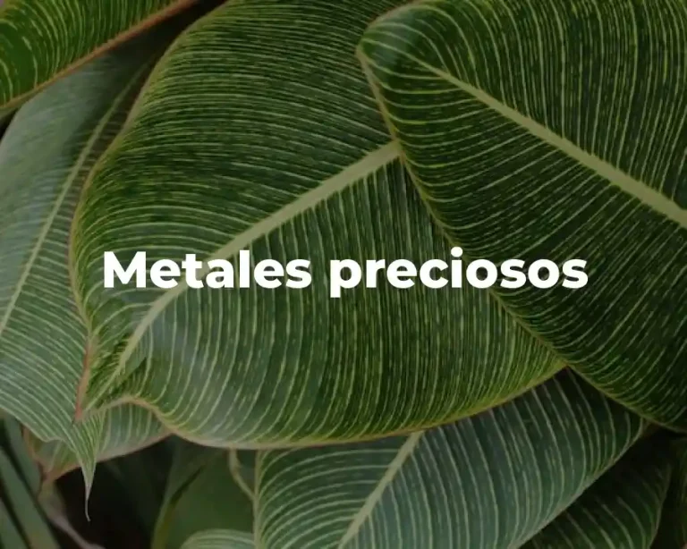 Metales preciosos
