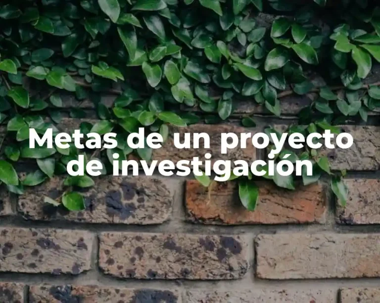 Metas de un proyecto de investigación