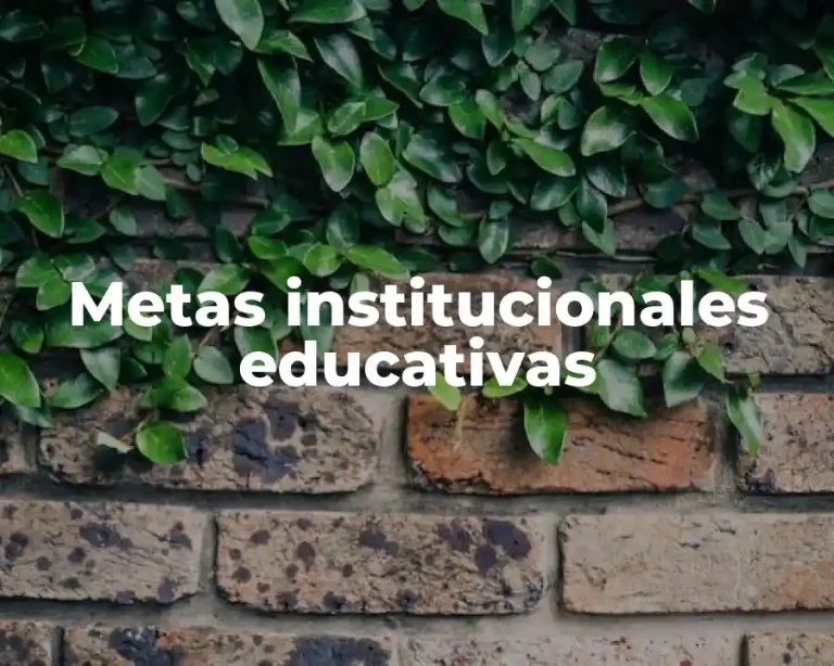 Metas institucionales educativas