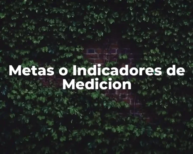 Metas o Indicadores de Medicion