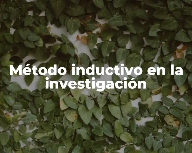 Método inductivo en la investigación
