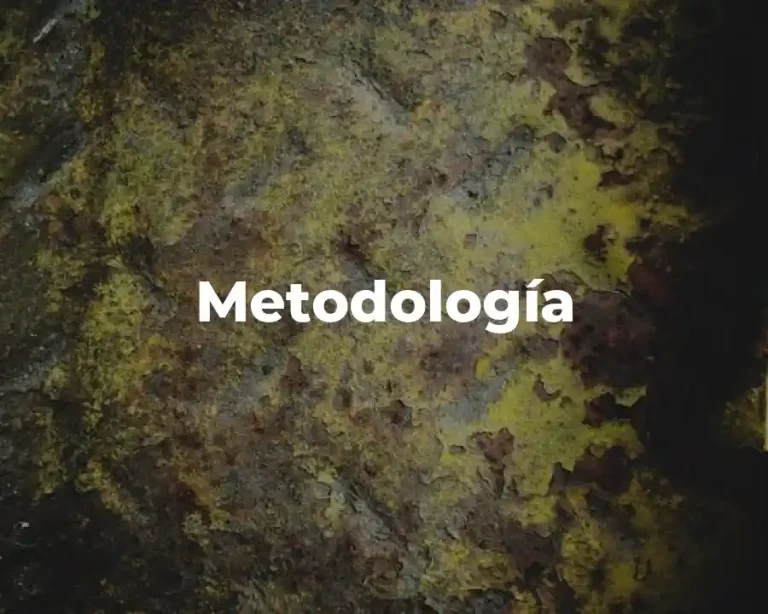 Metodología