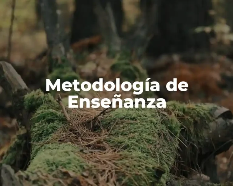 Metodología de Enseñanza