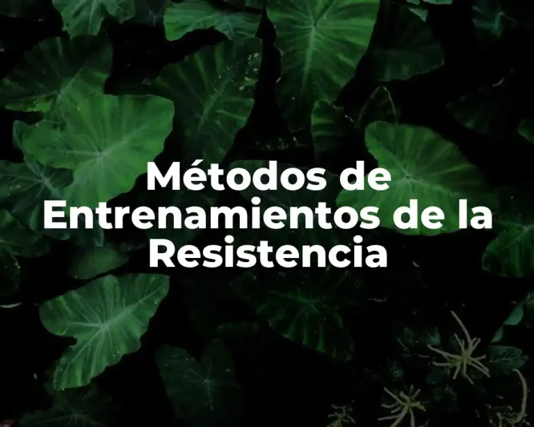 Métodos de Entrenamientos de la Resistencia