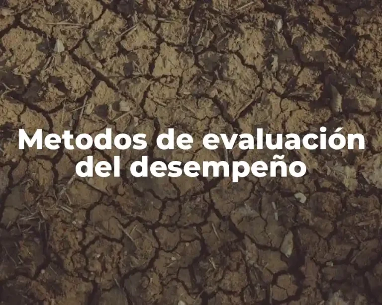 Metodos de evaluación del desempeño