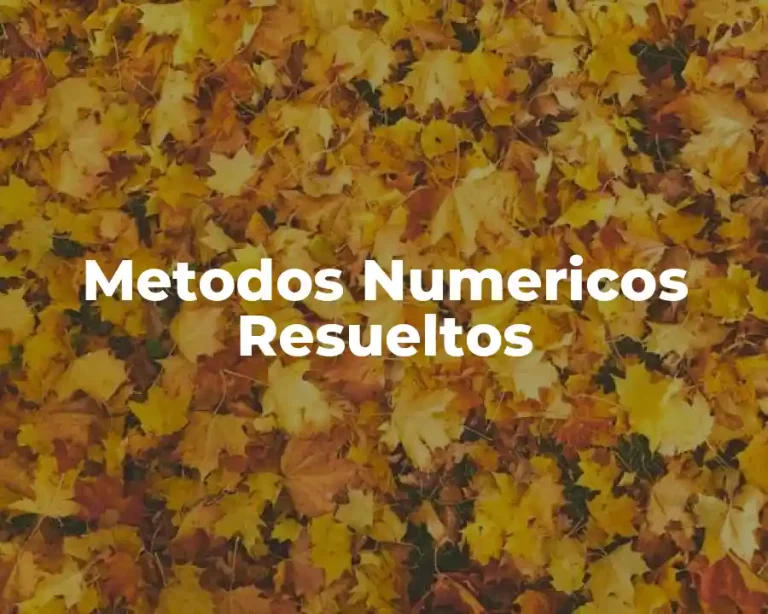 Metodos Numericos Resueltos