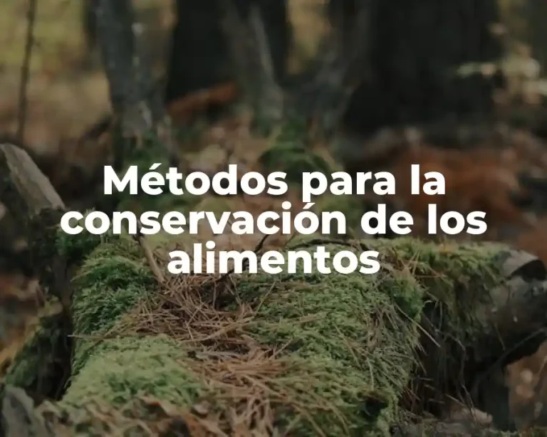 Métodos para la conservación de los alimentos