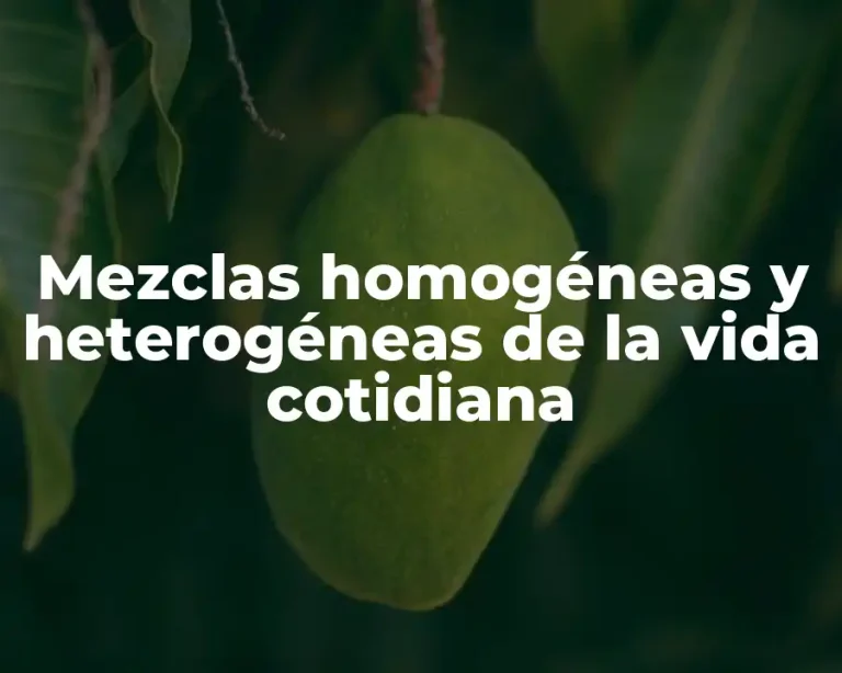 Mezclas homogéneas y heterogéneas de la vida cotidiana