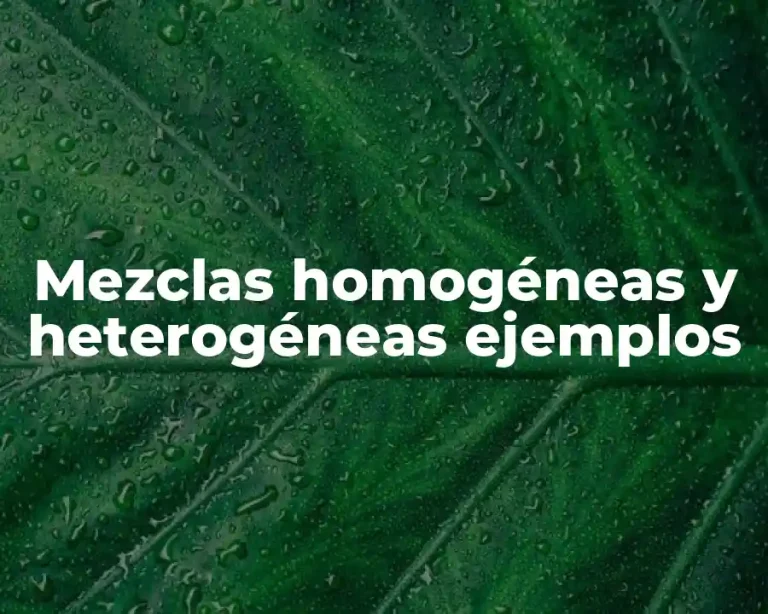 Mezclas homogéneas y heterogéneas ejemplos
