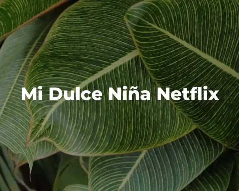 Mi Dulce Niña Netflix