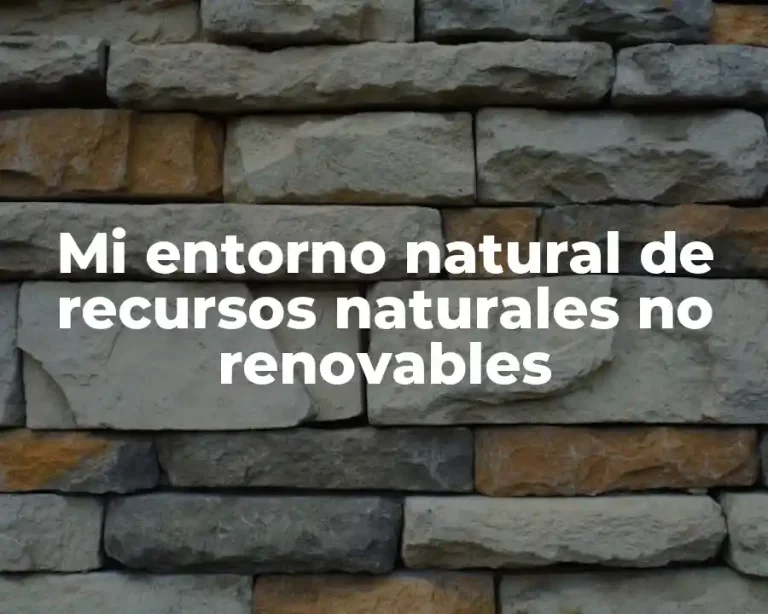 Mi entorno natural de recursos naturales no renovables