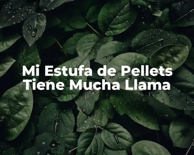 Mi Estufa de Pellets Tiene Mucha Llama