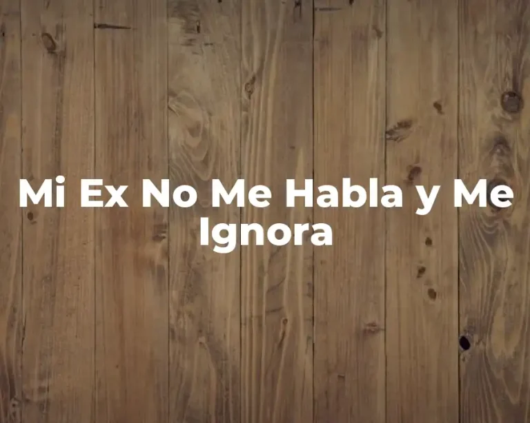 Mi Ex No Me Habla y Me Ignora