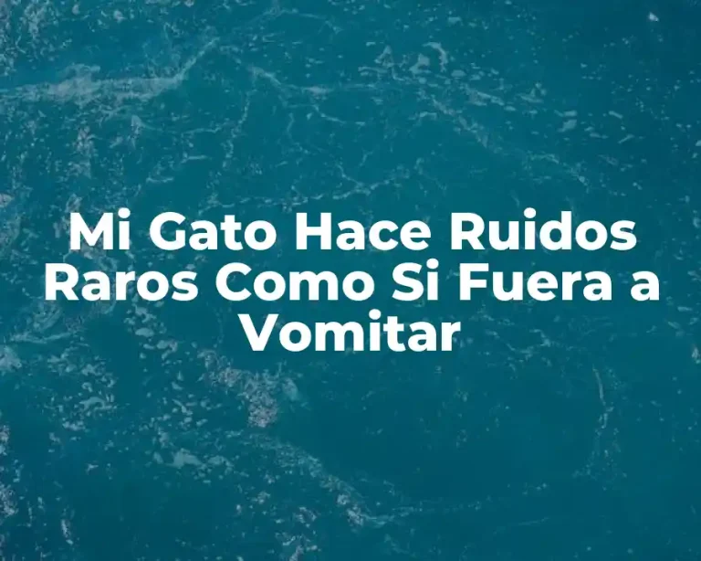 Mi Gato Hace Ruidos Raros Como Si Fuera a Vomitar