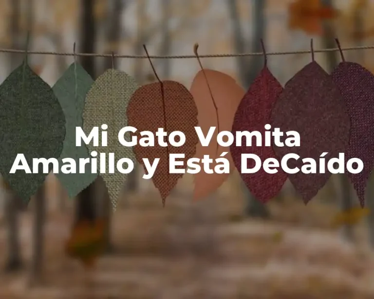 Mi Gato Vomita Amarillo y Está DeCaído