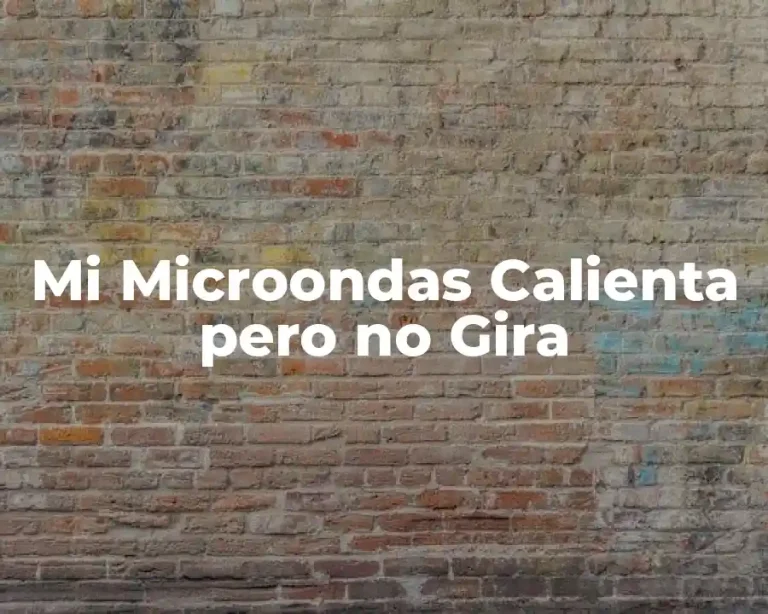 Mi Microondas Calienta pero no Gira