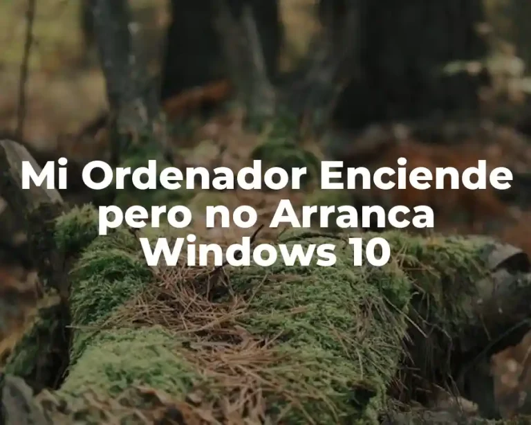Mi Ordenador Enciende pero no Arranca Windows 10