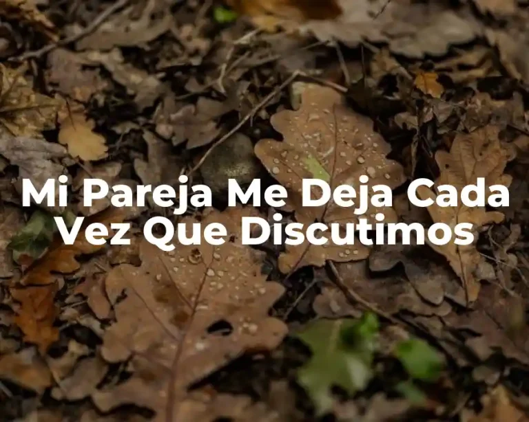 Mi Pareja Me Deja Cada Vez Que Discutimos