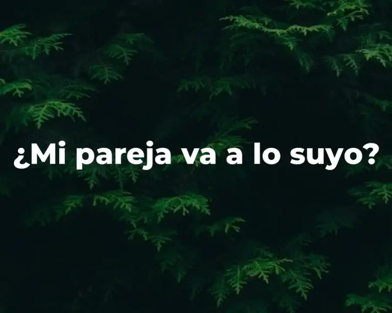 ¿Mi pareja va a lo suyo?