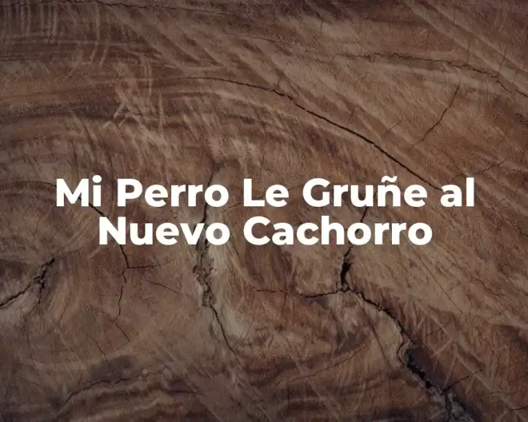 Mi Perro Le Gruñe al Nuevo Cachorro