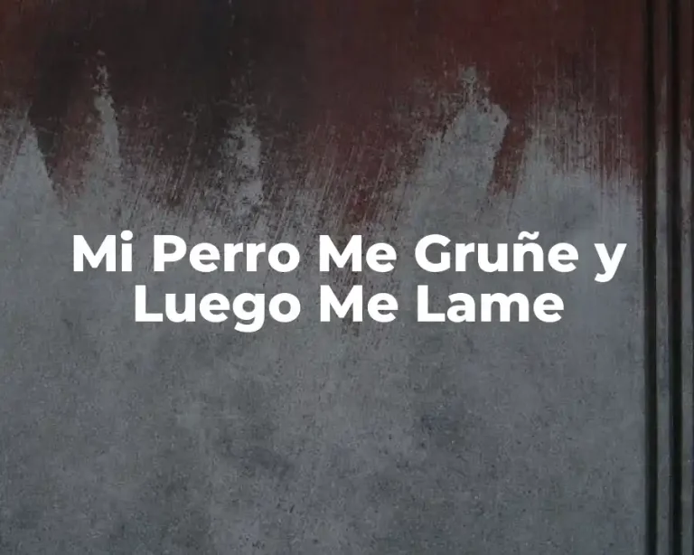 Mi Perro Me Gruñe y Luego Me Lame