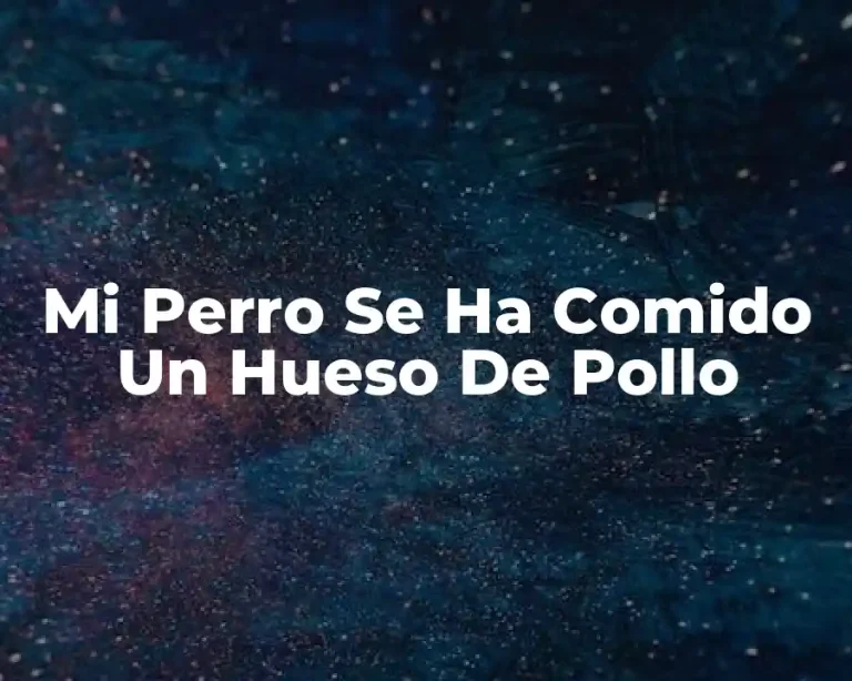 Mi Perro Se Ha Comido Un Hueso De Pollo