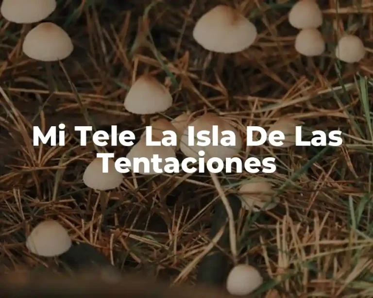 Mi Tele La Isla De Las Tentaciones