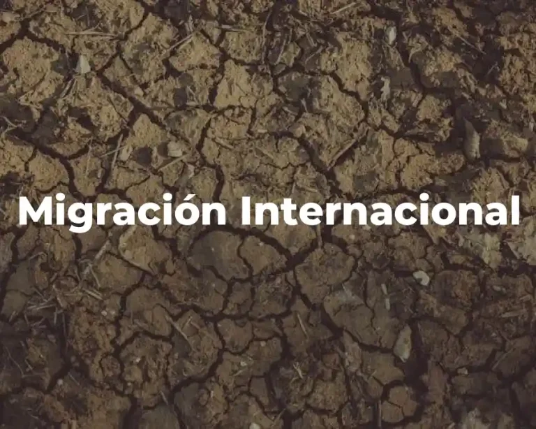 Migración Internacional