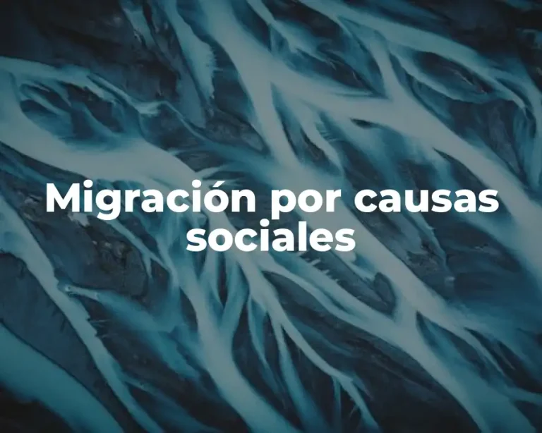 Migración por causas sociales