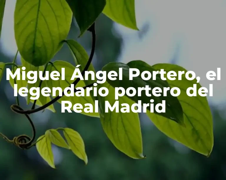 Miguel Ángel Portero, el legendario portero del Real Madrid