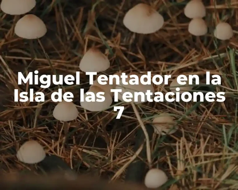 Miguel Tentador en la Isla de las Tentaciones 7