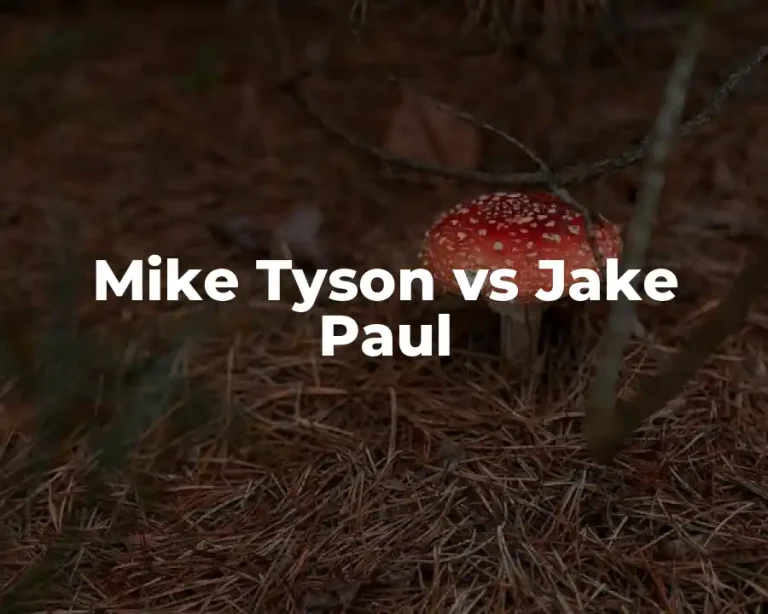 Mike Tyson vs Jake Paul
