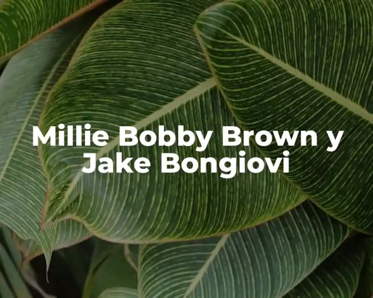 Millie Bobby Brown y Jake Bongiovi