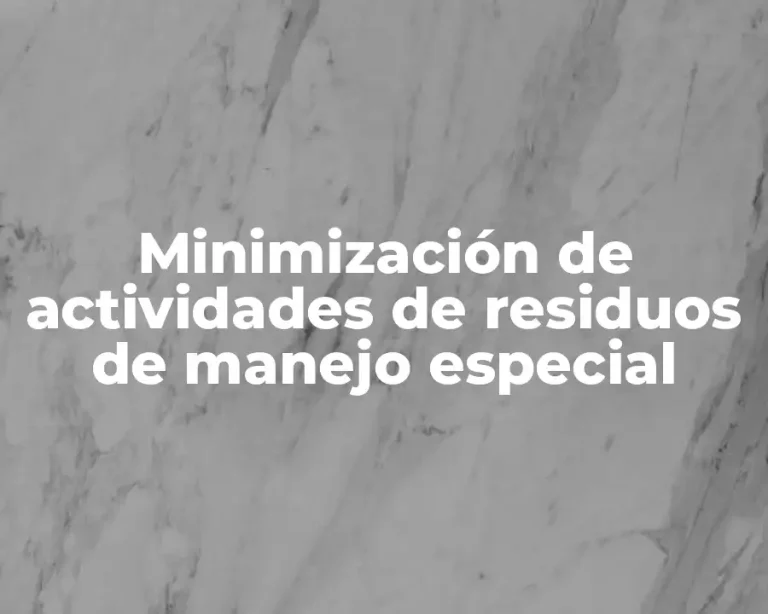 Minimización de actividades de residuos de manejo especial