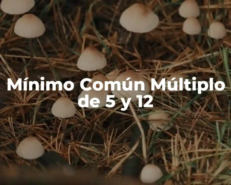 Mínimo Común Múltiplo de 5 y 12