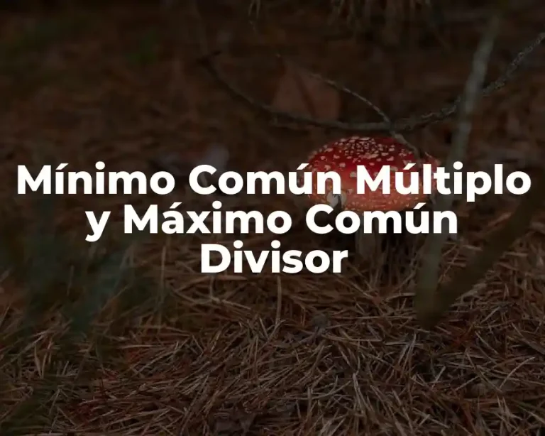 Mínimo Común Múltiplo y Máximo Común Divisor