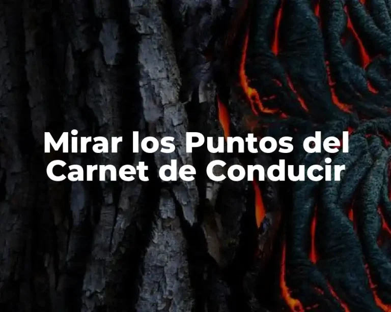 Mirar los Puntos del Carnet de Conducir