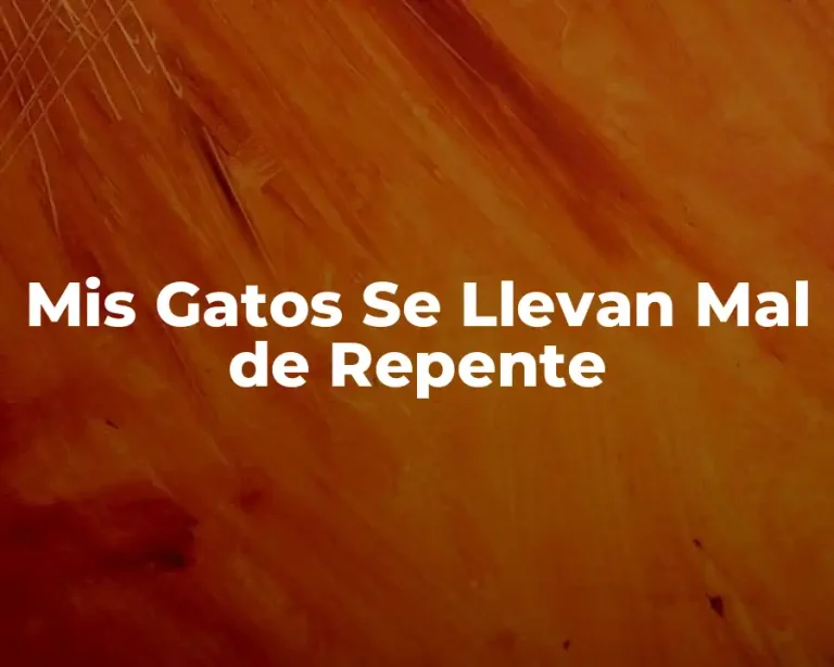 Mis Gatos Se Llevan Mal de Repente