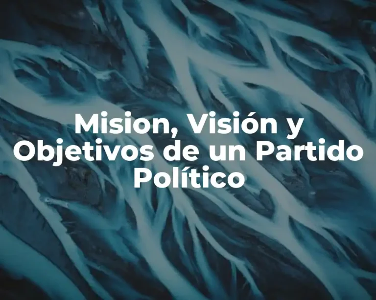 Mision, Visión y Objetivos de un Partido Político